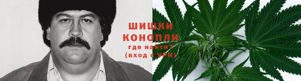 ПСИЛОЦИБИНОВЫЕ ГРИБЫ Алексеевка