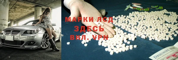 ПСИЛОЦИБИНОВЫЕ ГРИБЫ Алексеевка