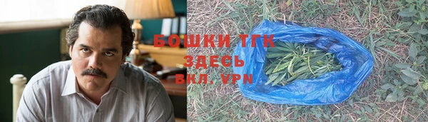 ПСИЛОЦИБИНОВЫЕ ГРИБЫ Алексеевка